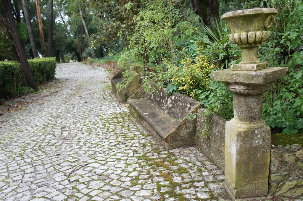 Quinta Do Convento Hotel Vila Verde dos Francos Ngoại thất bức ảnh